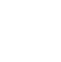 Custom Software Solutions